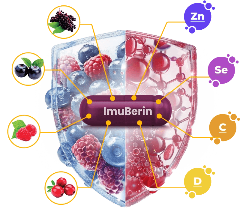 Ilustrace srdce s vitamíny